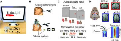 Neuronavigated Repetitive Transcranial Ultrasound Stimulation Induces Long-Lasting and Reversible Effects on Oculomotor Performance in Non-human Primates